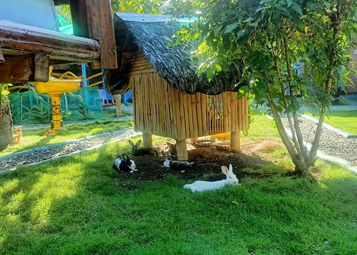 Bamboo Moalboal