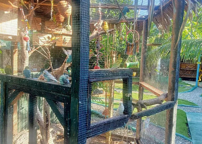 Bamboo