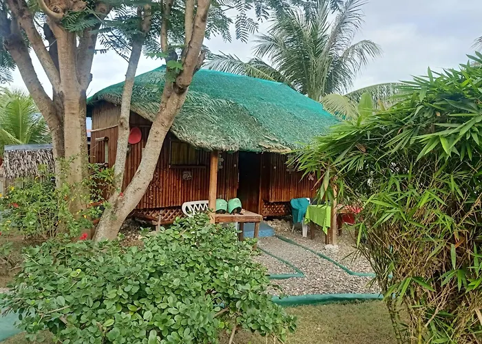 Bamboo Bed & Breakfast Moalboal