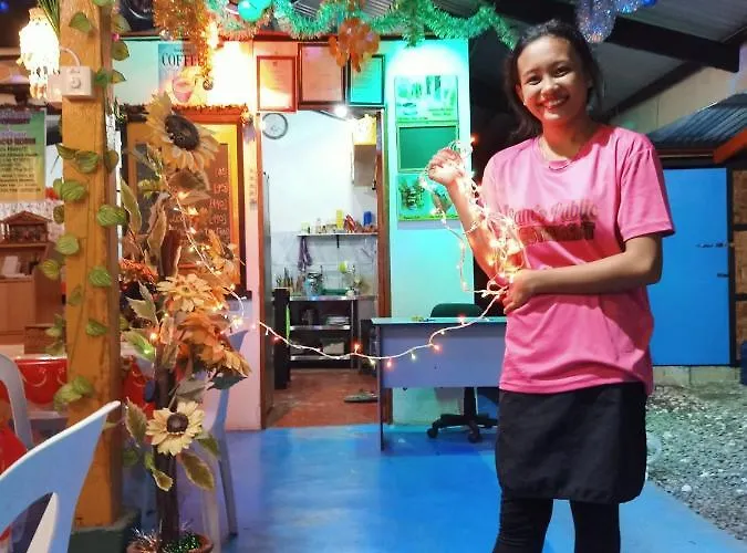 Bamboo